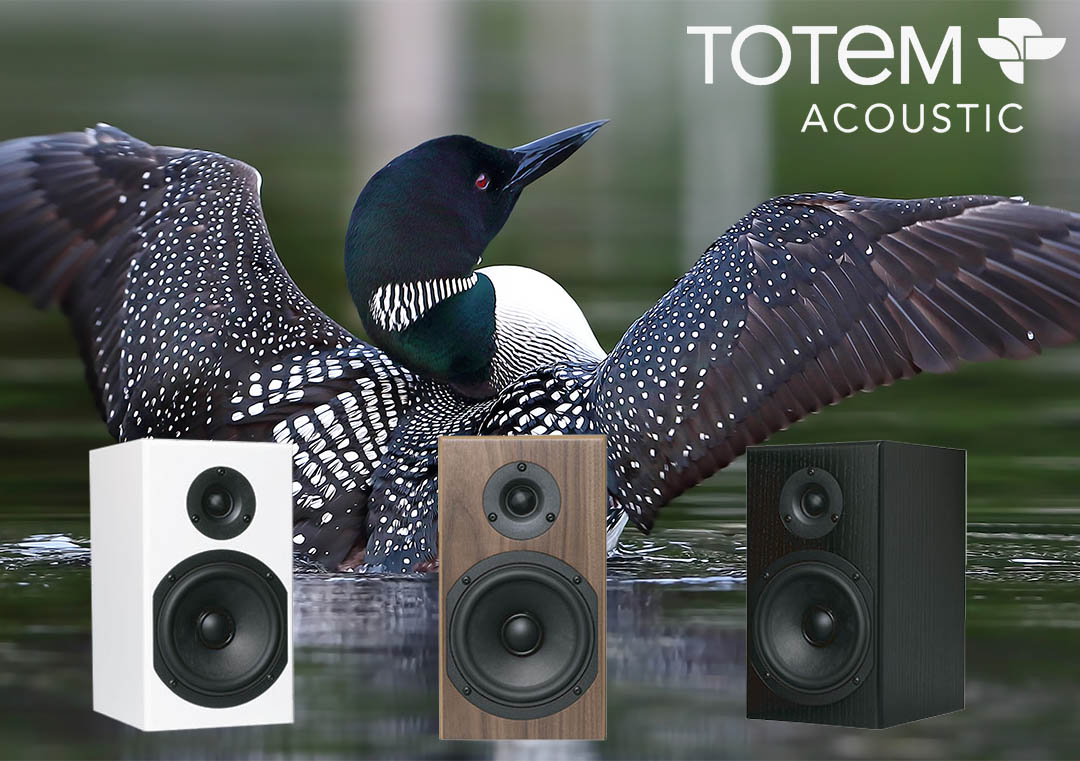 Компактная новинка от Totem Acoustic — встречайте мониторы LOON.