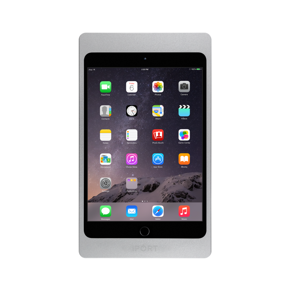 iPort LuxePort Case iPad Mini4 silver