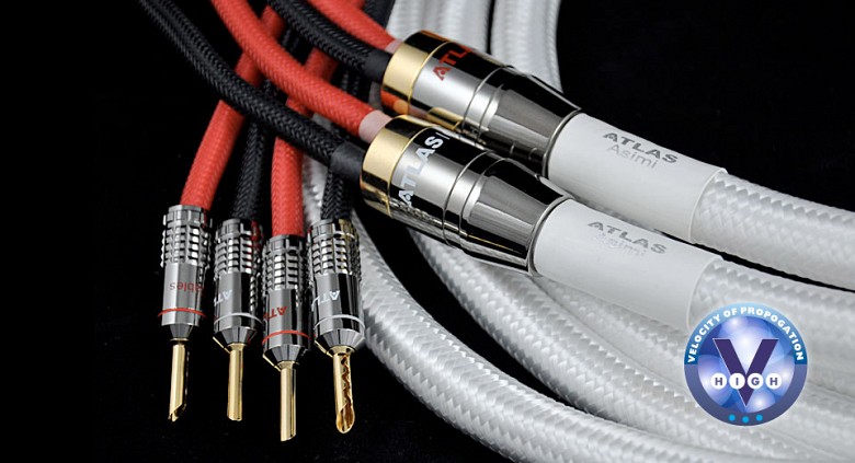 Atlas Asimi Silver wired 2x2 3,0m (Transpose Z plug silver)