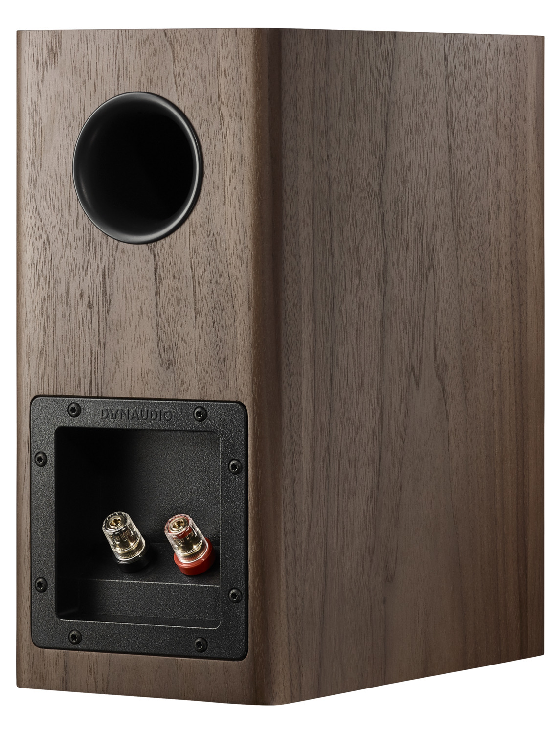 Dynaudio Evoke 10 walnut wood